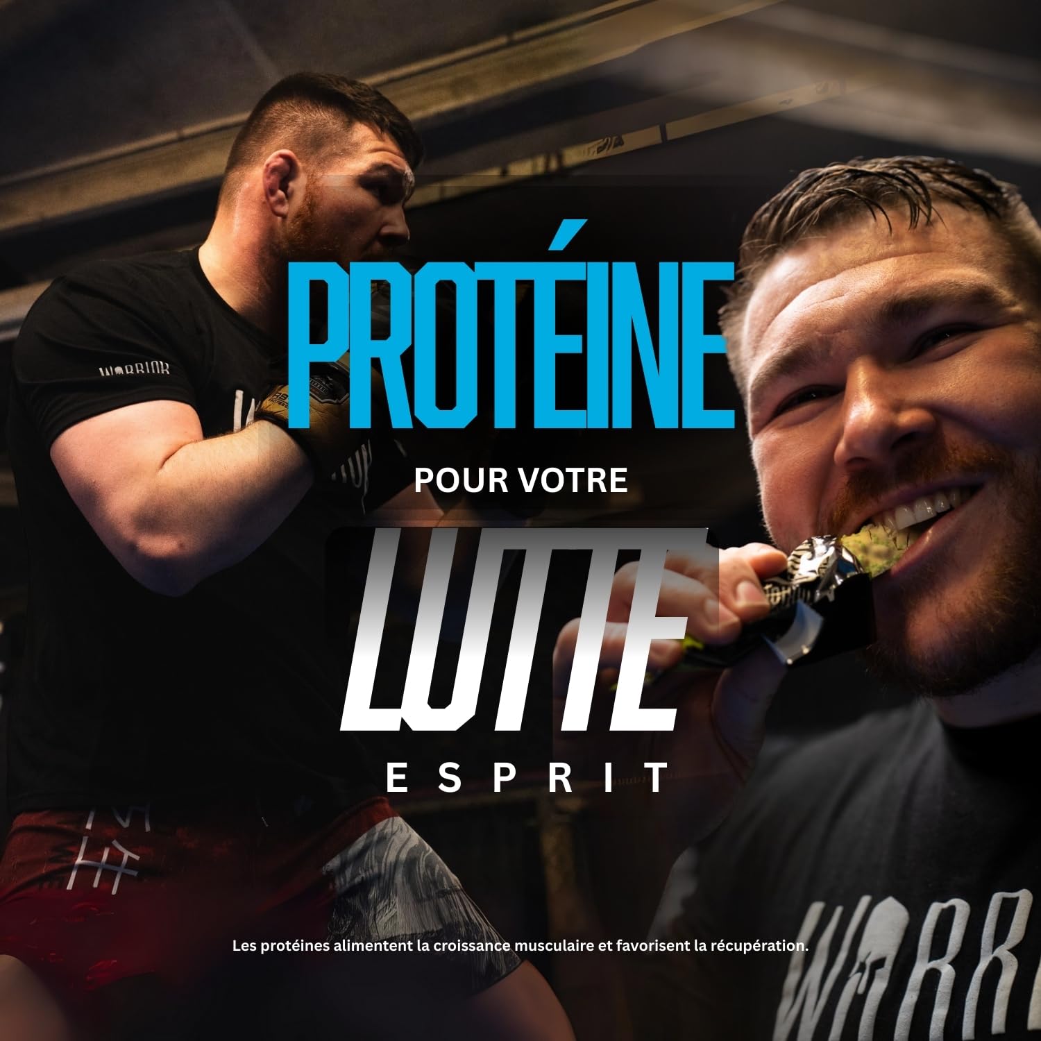 Barres hyperprotéinées Warrior Crunch 20 g - Barre à faible teneur en sucre et en glucides - paquet de 12 x 64 g - incroyablement savoureuse - garantie halal (Pâte à cookies aux pépites de chocolat)