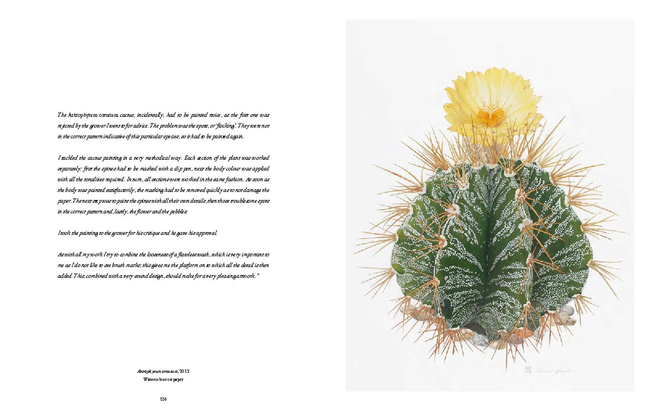 RHS Botanical Illustration (New ed) /anglais: The Gold Medal Winners