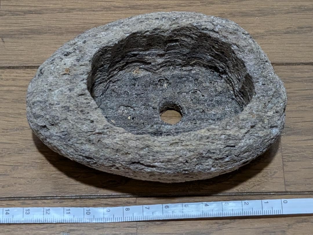 工房あめつち あめつち 豆盆栽 松 工房あめつち 陶器盆栽 松 お正月