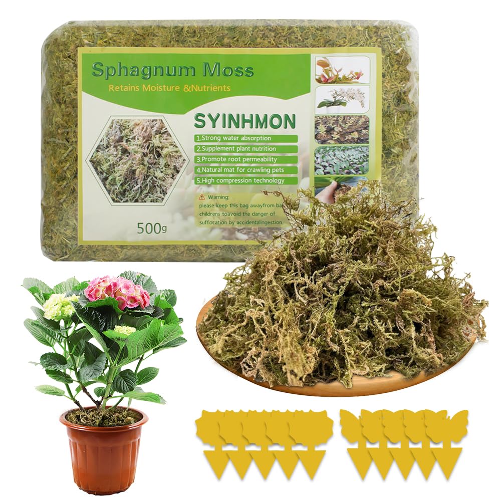 Sfagno per Orchidee 500g Muschio Cileno per Felci a Corno di Cervo, Piantine e Radicazione