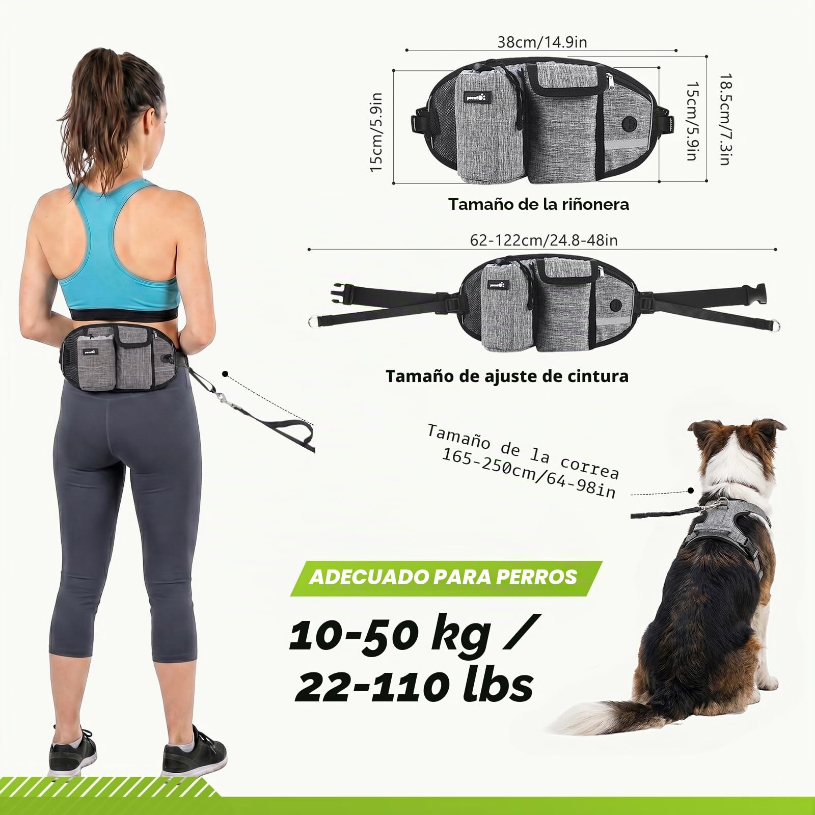 Pecute Correa para Perro Manos Libres para Perros hasta 50 kg de absorción de Choque, cómoda, Costura Reflectante, Ideal para Correr, Correr y Caminar