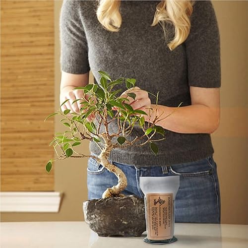 Miniatura 3 de Comprimido de liberación de Fertilizantes para Bonsai