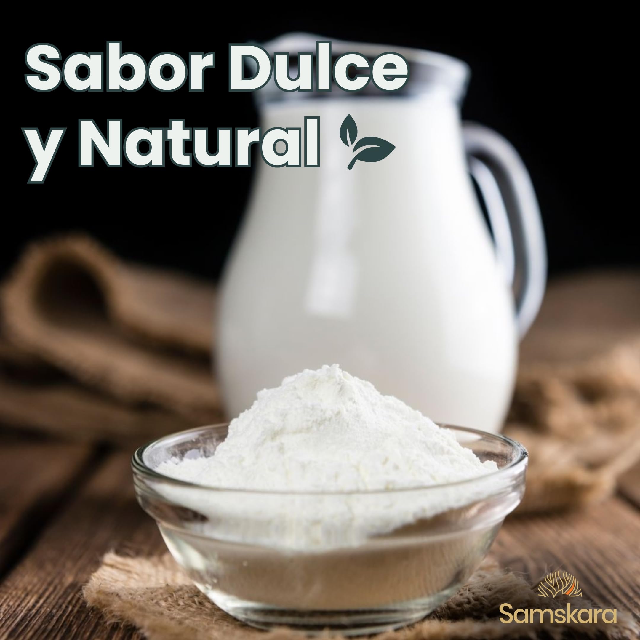 Leche de Arroz Ecológica en Polvo BIO 500 g Vegano Alternativo a la Leche