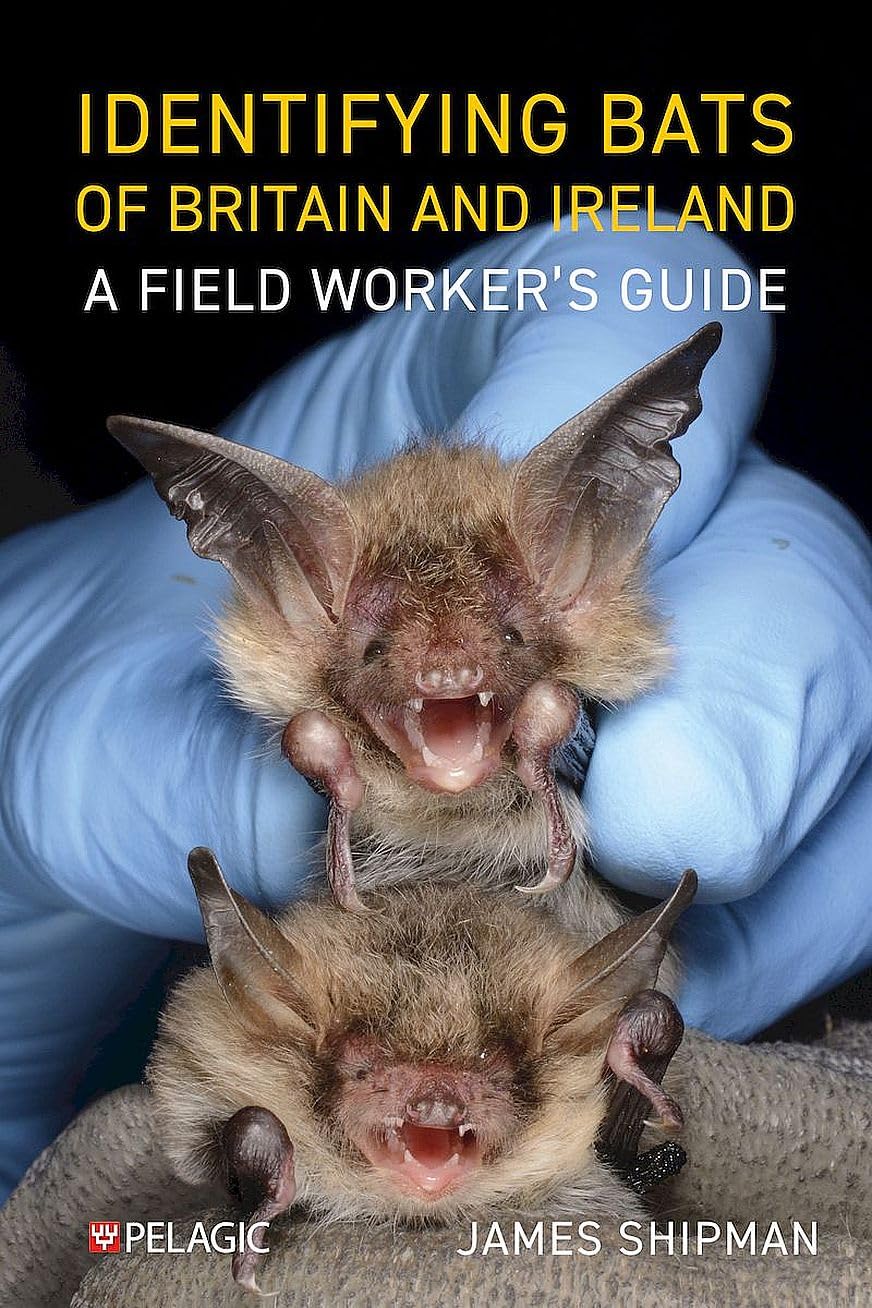 Identifying Bats of Britain and Ireland: A Field Worker’s Guide (Pelagic Identification Guides)