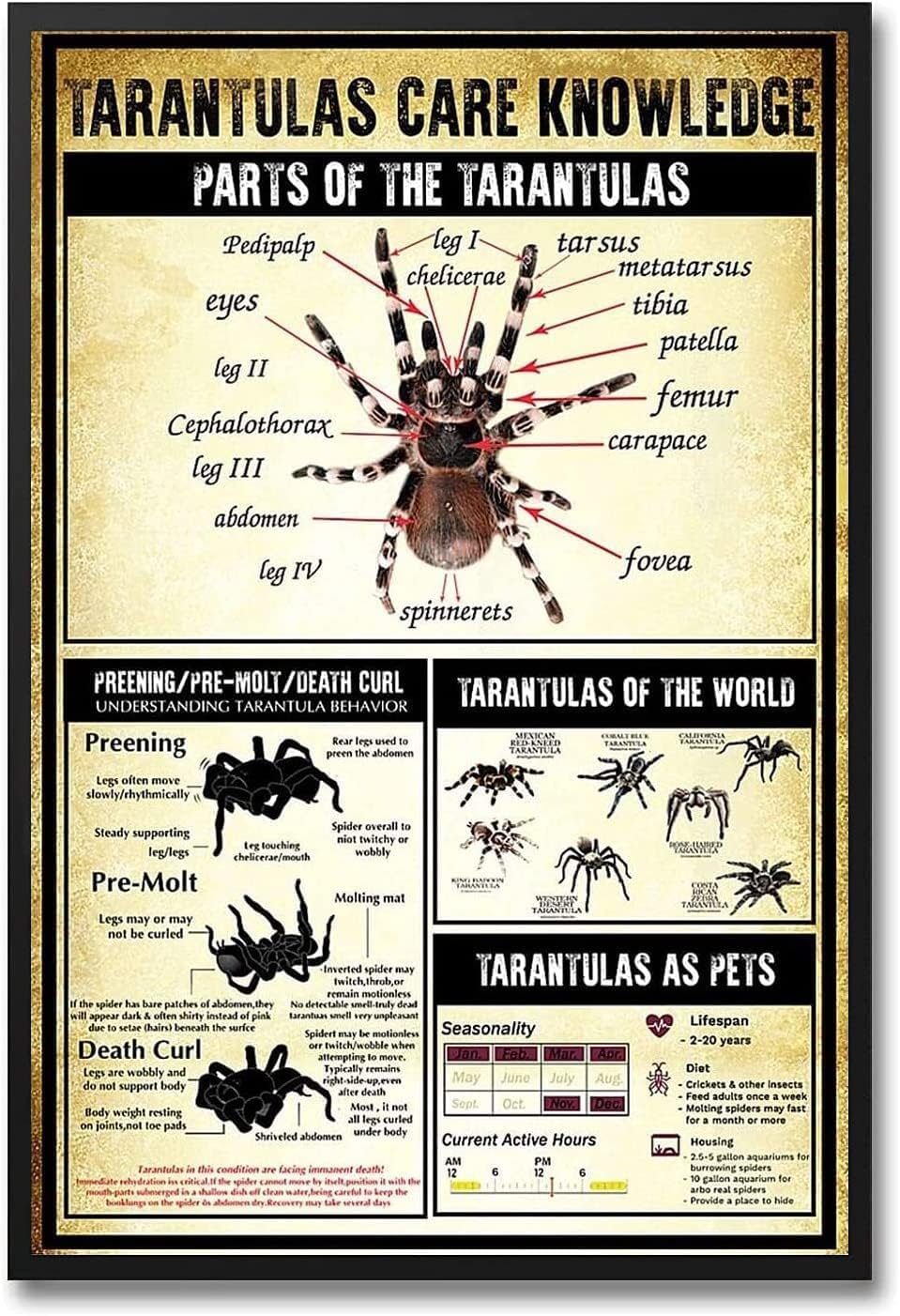 peiyeety Tarantulas Care Knowledge Metal Tin Signs Tarantulas Care Information Retro Poster Popular Science Educational Charts Wall Plaques Decor For Home Classroom Room Office 8x12 Inch