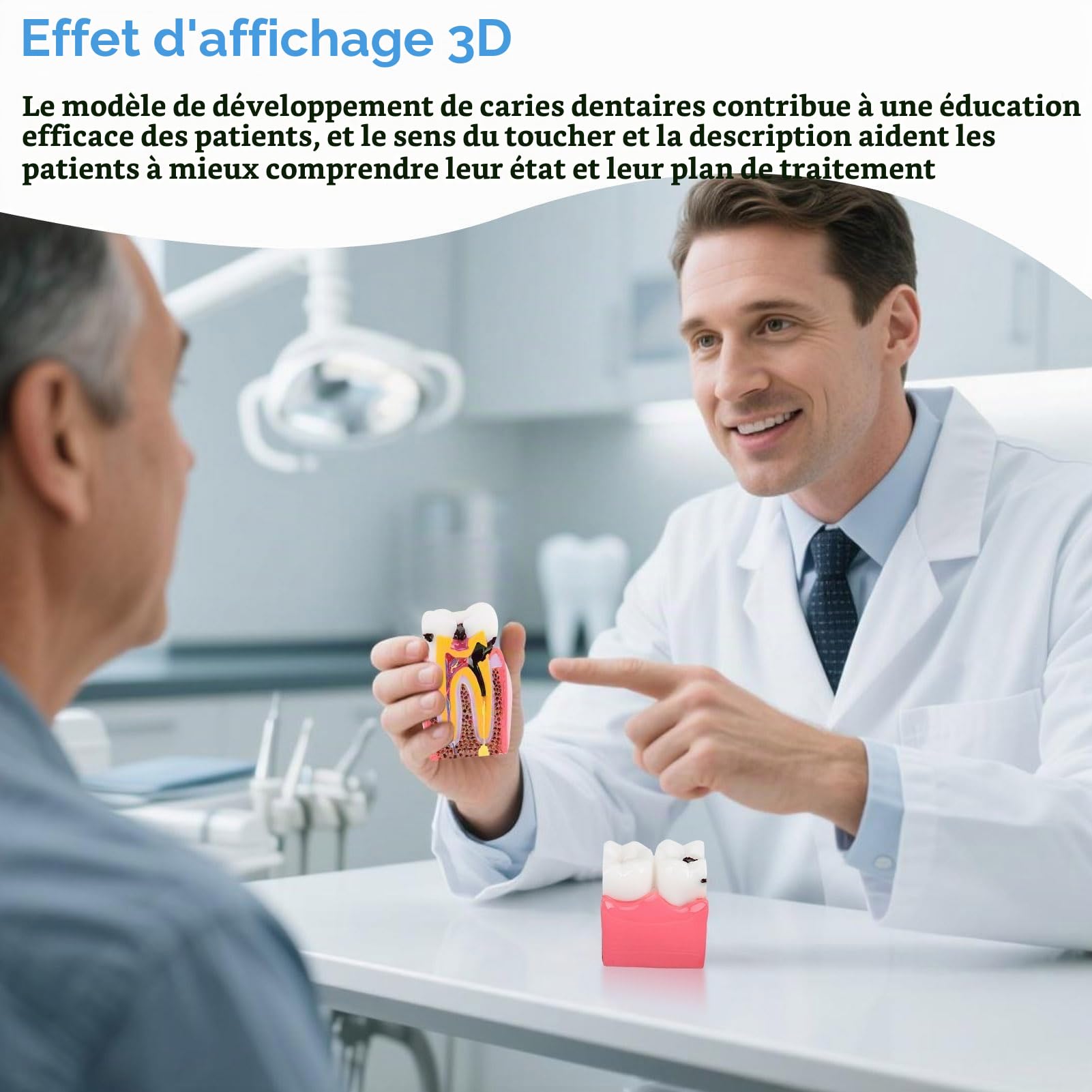 Agatige Modèle D'anatomie Dentaire, Modèles D'Étude De Comparaison De Caries Modèle De Dents D'Éducation À L'anatomie Dentaire De Dentiste Modèle De Développement De Caries Dentaires pour L'Éducation