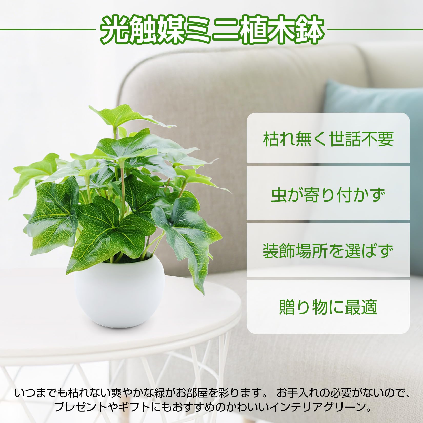 Amazon｜光触媒 観葉植物 ミニ セット 3個 消臭・抗菌効果 フェイク