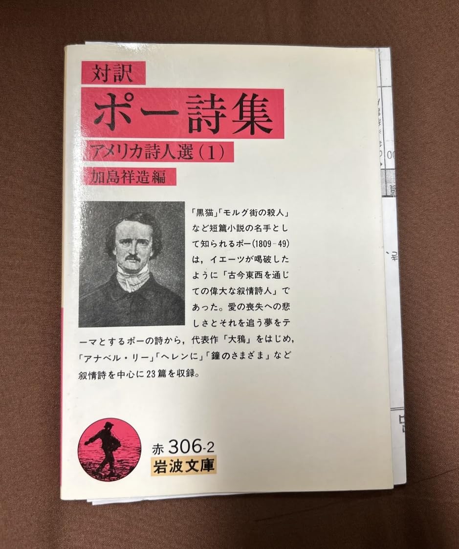 ポー詩集】 【サンプル】 文学・小説