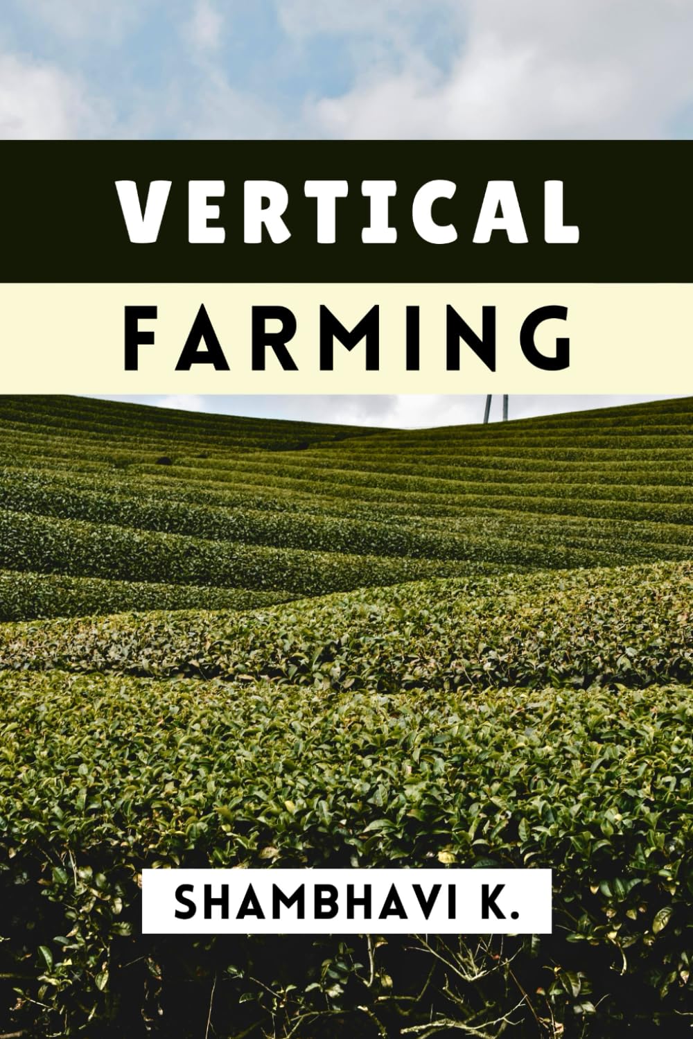 Vertical Farming: Sustainable Solutions for Urban Agriculture