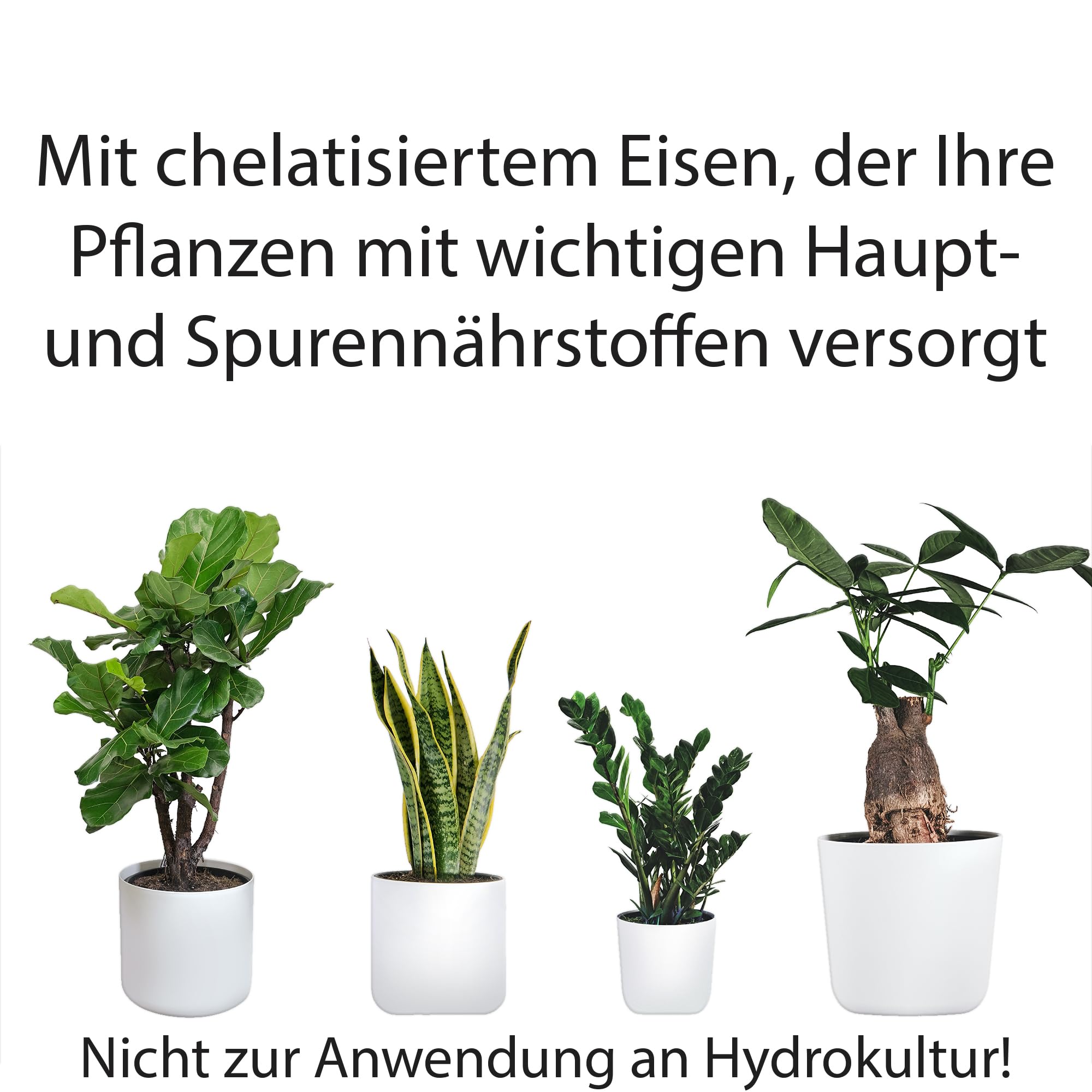 Substral Engrais vert pour plantes 1 l