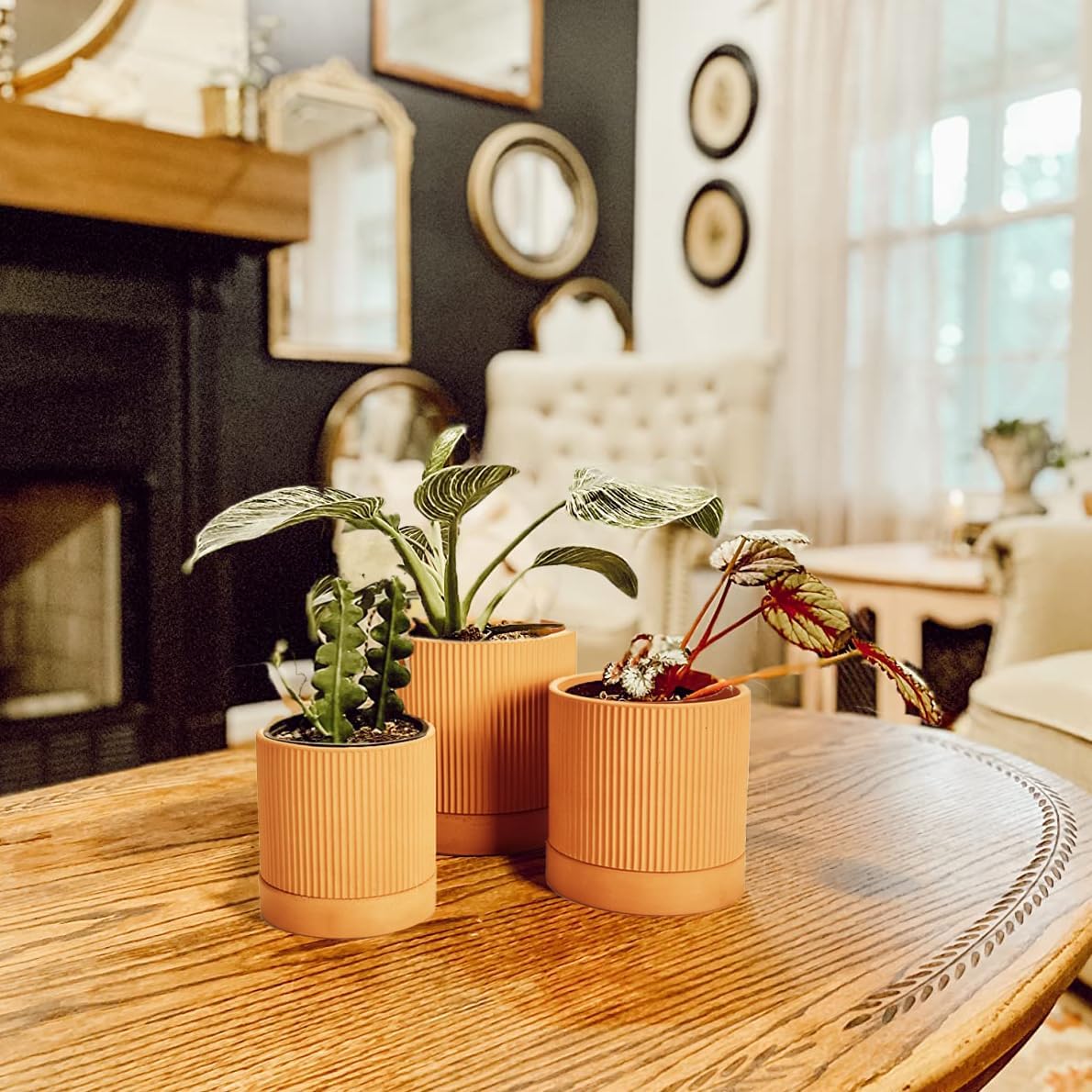 HERDUK Modern Terra Cotta Pots, 6 Inch 5.1 Inch 4 Inch Ribbed Textured Clay Planter Set with Drainage Holes & Saucers, Garden Pots for Indoor/Ourdoor Plants Succulent, Cactus & Herb