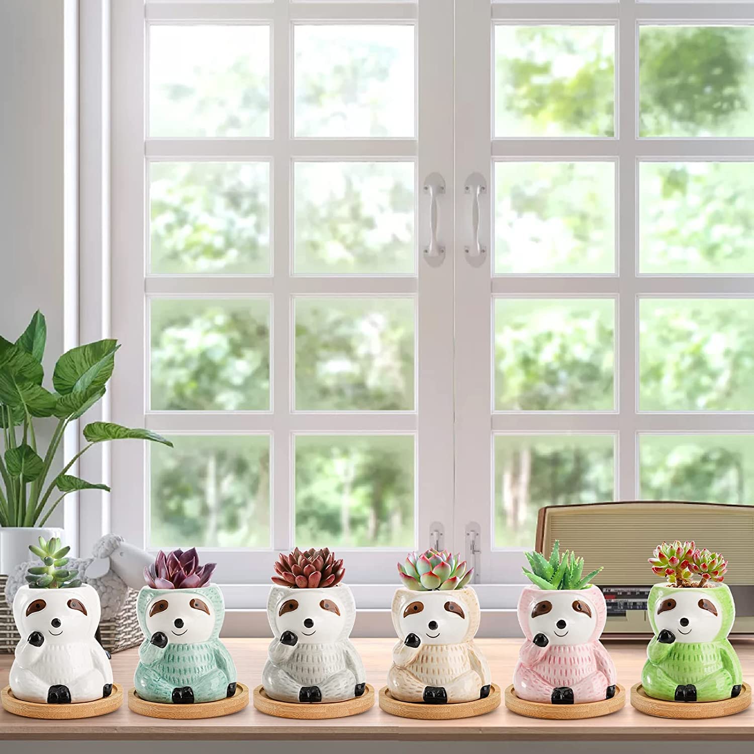Okllen Confezione da 6 fioriere a forma di bradipo con vassoio in bambù, piccole fioriere in ceramica per piante grasse, graziosi vasi per animali, cactus, bradipo, regali per piante aeree, amanti