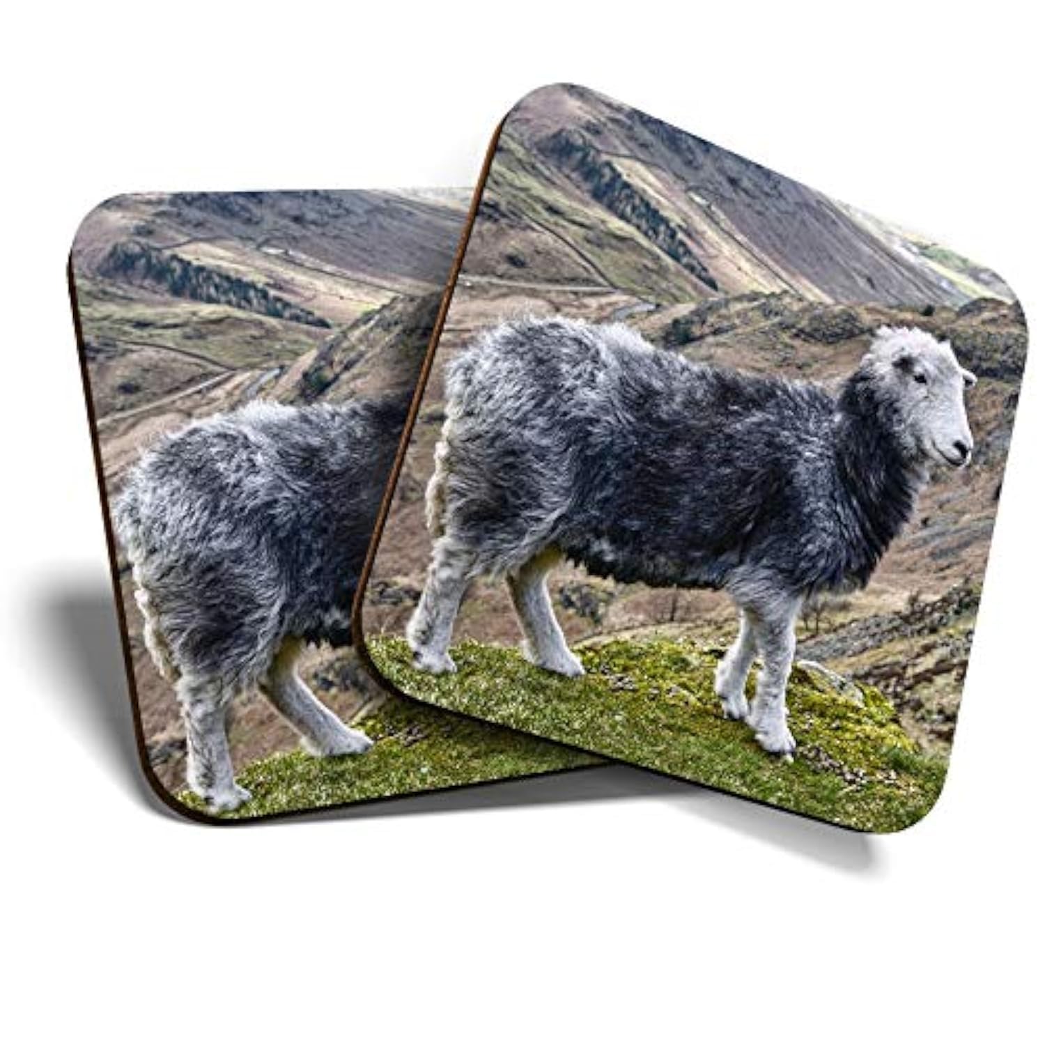 Destination Vinyl Ltd Multicolor 2 X Mdf Glossy Top Coasters Square - Herdwick Sheep Mountain 12563
