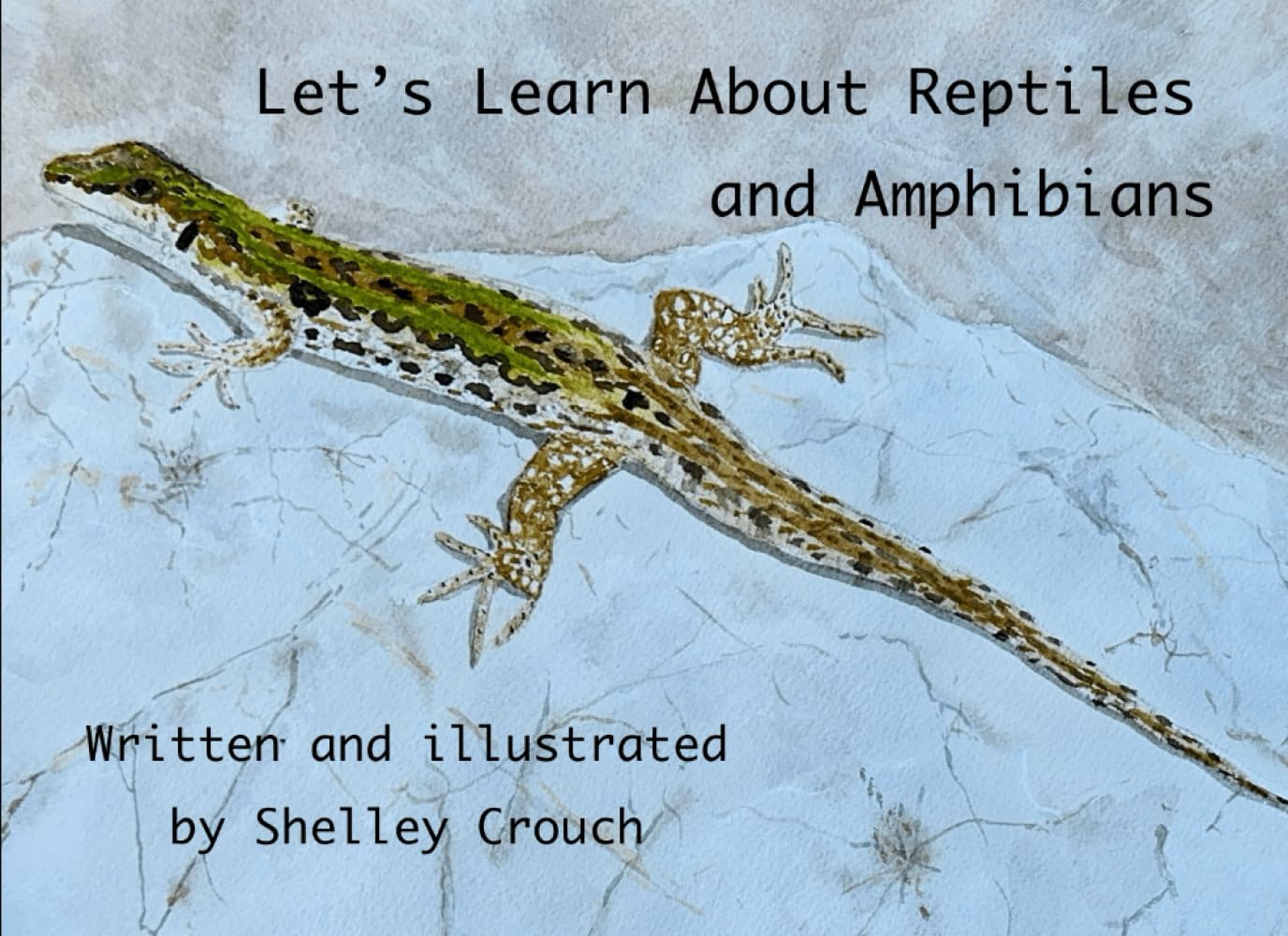 Let's Learn About Reptiles and Amphibians (Exploring Nature Through Art)