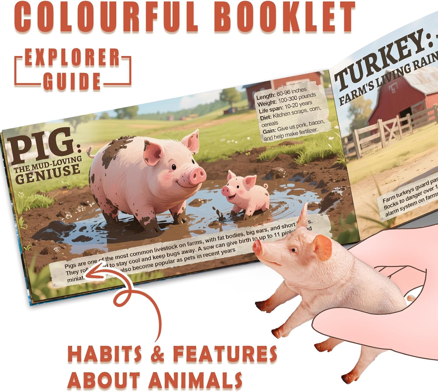 15 Pcs Farm Animal & 13 Wild Animals Toy Set with Educational Booklet and Gift Box, Realistic Plastic Farm Animal Figures Set for Kids, Farm Playset Animals Party Favor, Cake Topper, Birthday for Todd