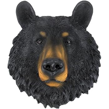 bear head bust mini dwk mount taxidermy hanging face