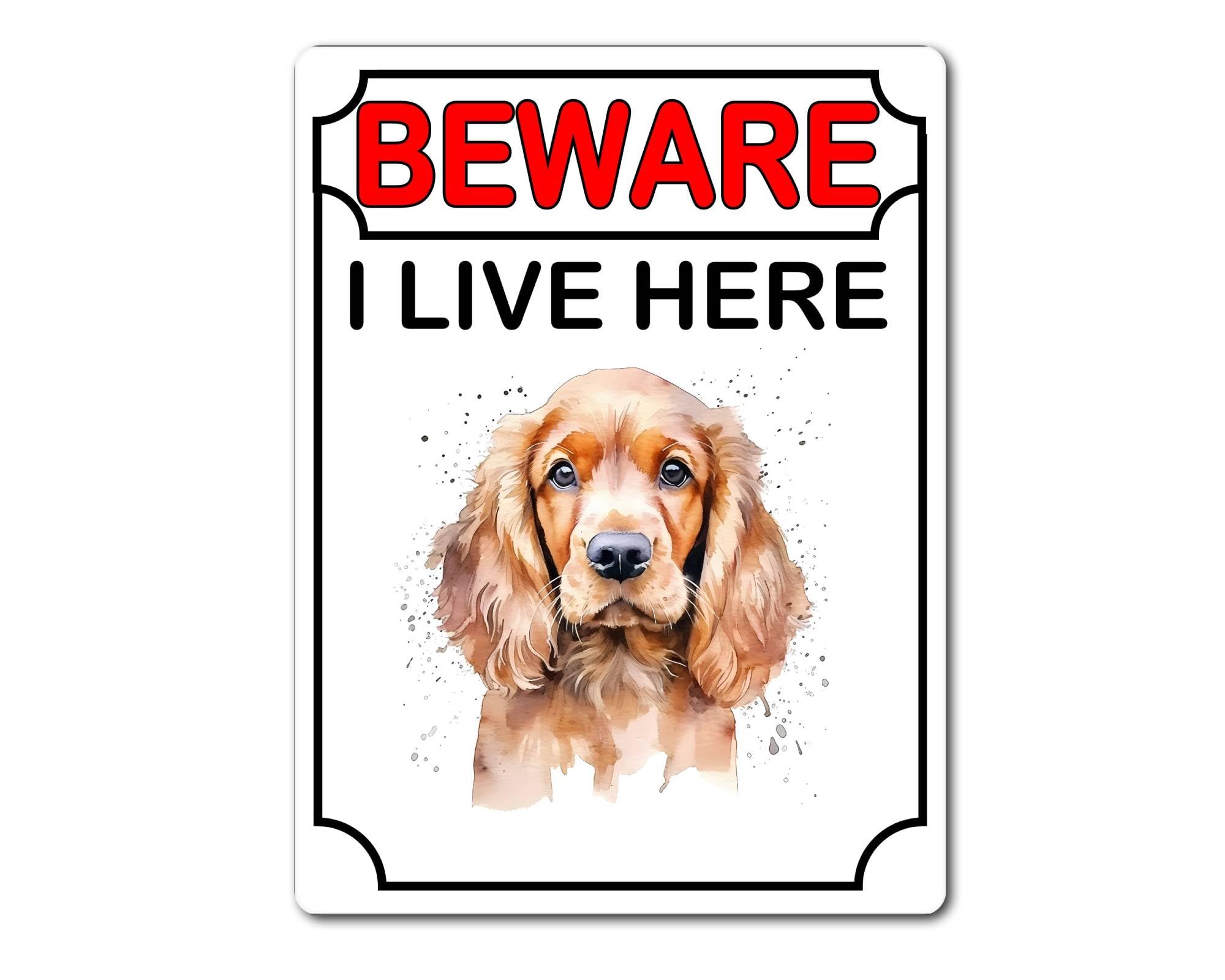 Decalarama Cocker Spaniel Metal Sign Gift – Beware I Live Here - Cute Fun Dog Novelty Aluminium Present