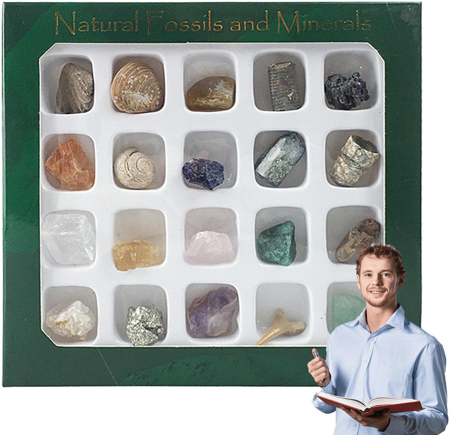 Rurbeder MineralienIdentifikationsKit MineralienSammelbox 20