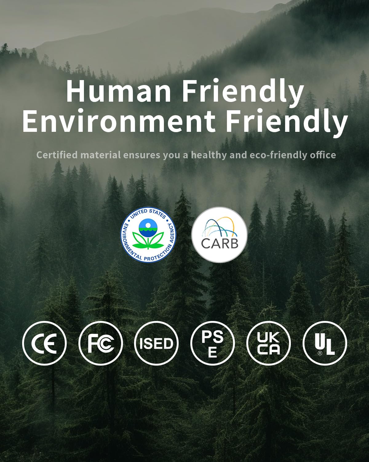 View 6