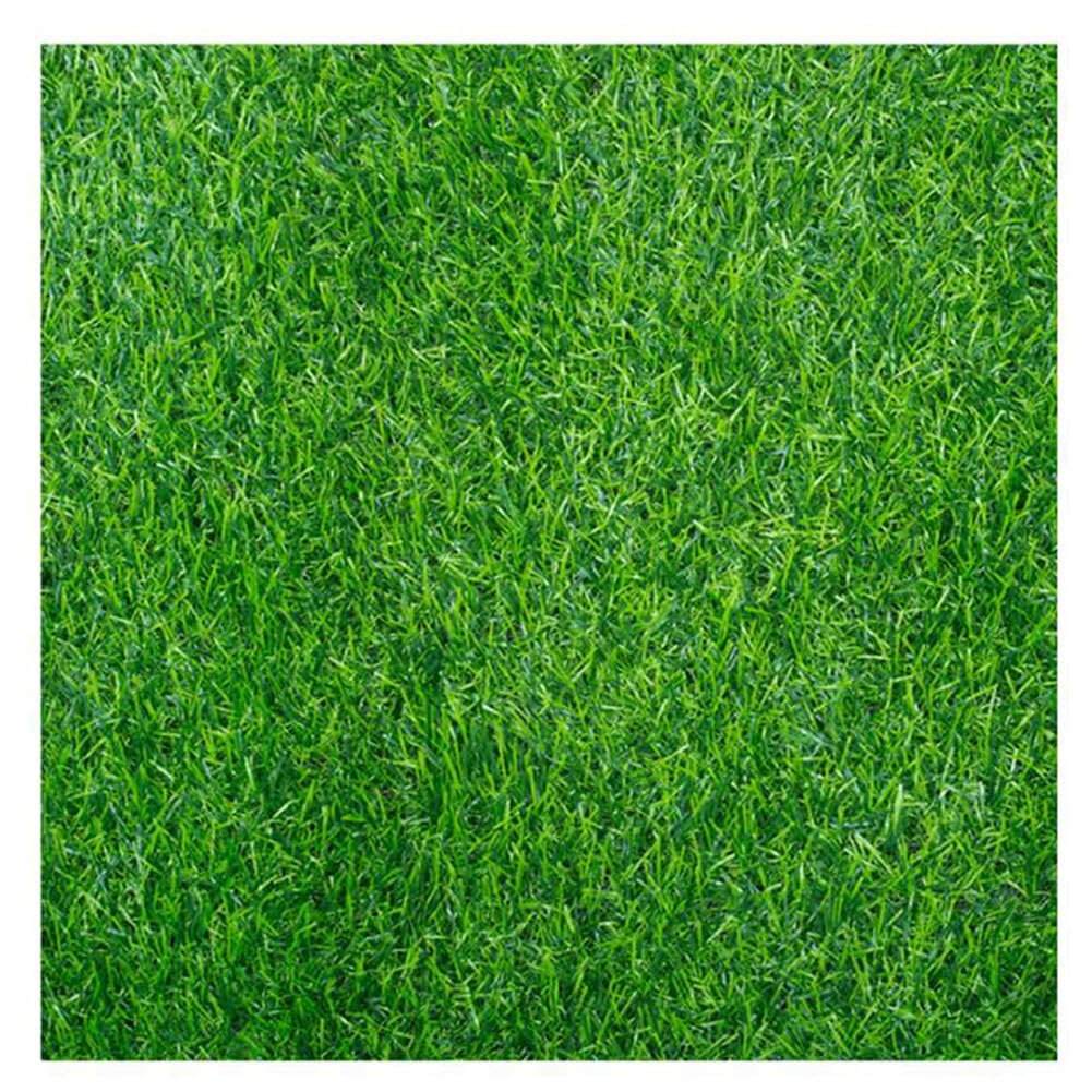 Questo Tappeto in Erba Artificiale per Esterni, Tappeto in Erba Sintetica per Balcone, Tappeto in Erba Sintetica per Esterni, Tappeto in Erba Sintetica ad Alta densità da 20 mm (Dimensioni: