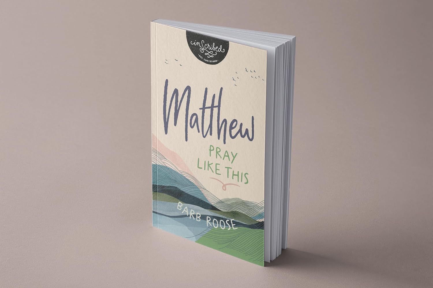 Matthew: Pray Like This (InScribed Collection) - Image 4