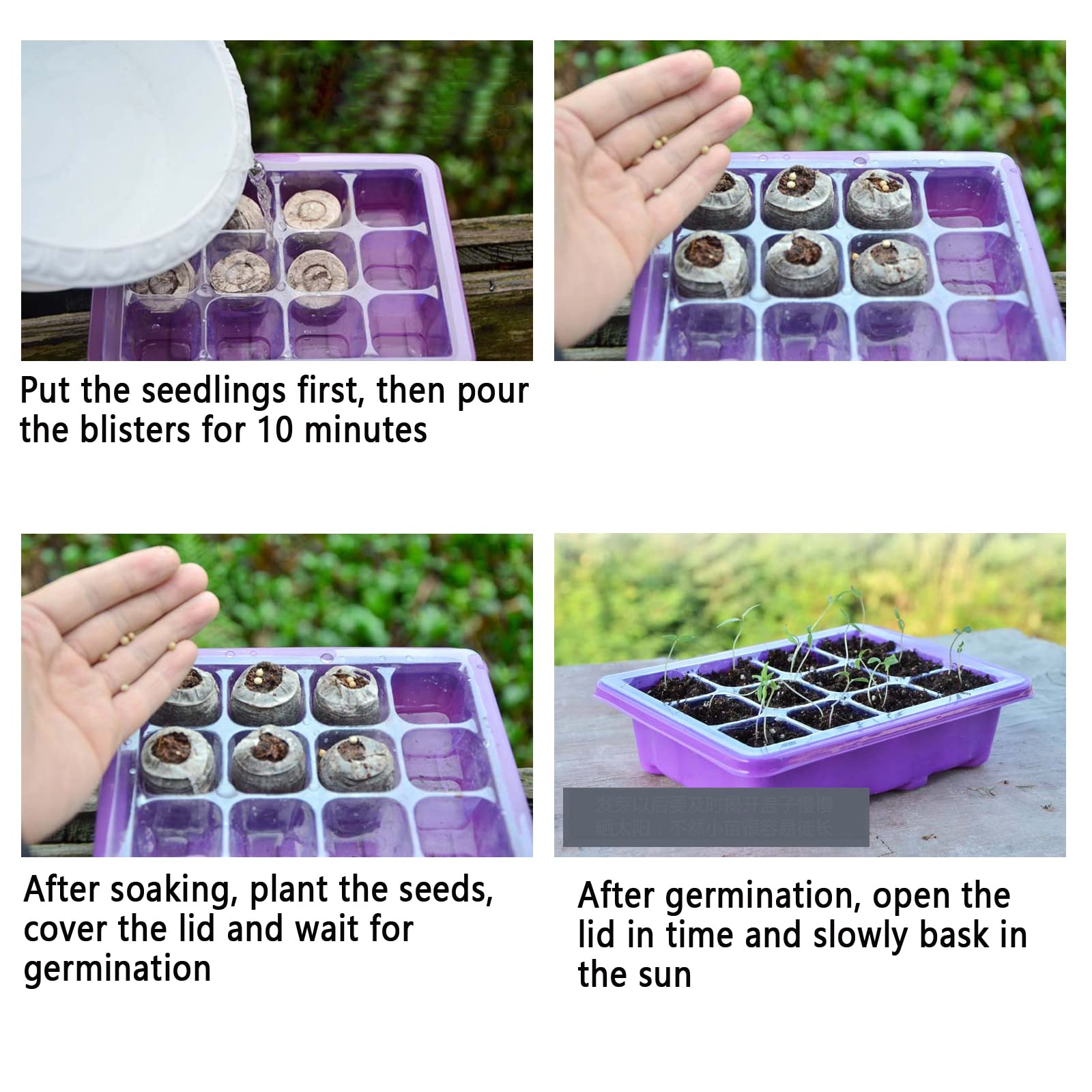 Vassoio per piantine, Set di 8 vassoi per propagatore con Coperchio e Prese d'Aria, Semi Semenzaio Serra 12 Celle Semina Pianta Starter per la Germinazione dei Semi
