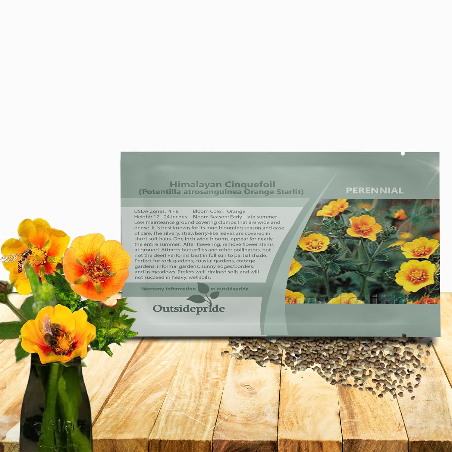 Amazon.com : Outsidepride Cinquefoil Orange Starlit Potentilla