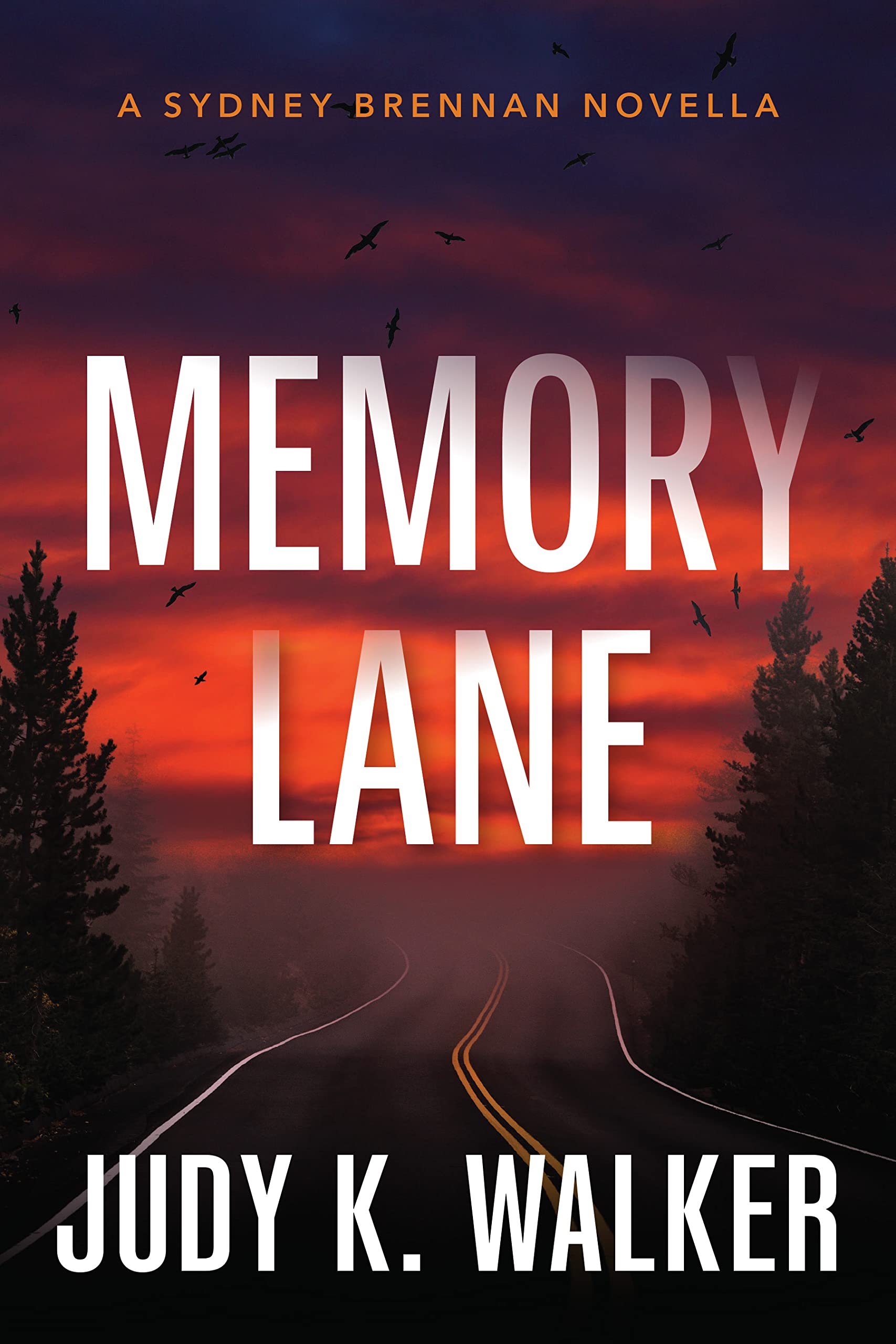 Memory Lane: A Sydney Brennan Novella (Sydney Brennan PI Mysteries Book 8)