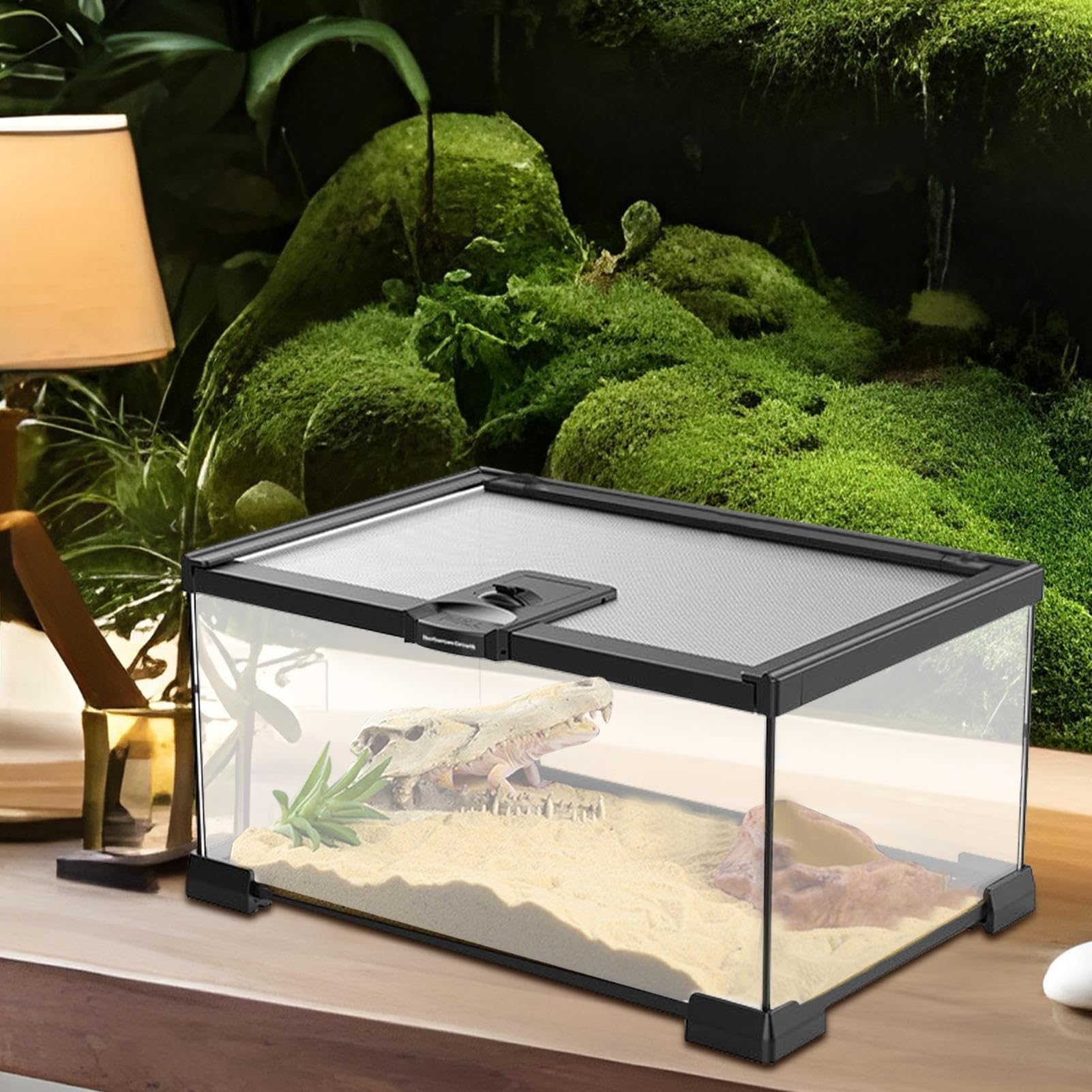Reptilien Amphibien Tank Tragbar Sicher Klarglas Belüftet Sicher | Echsenbecken mit Rundumsicht Geeignet für Schildkrötenkäfig, Echsenbehausung, Schlangengehege, Geckobecken,