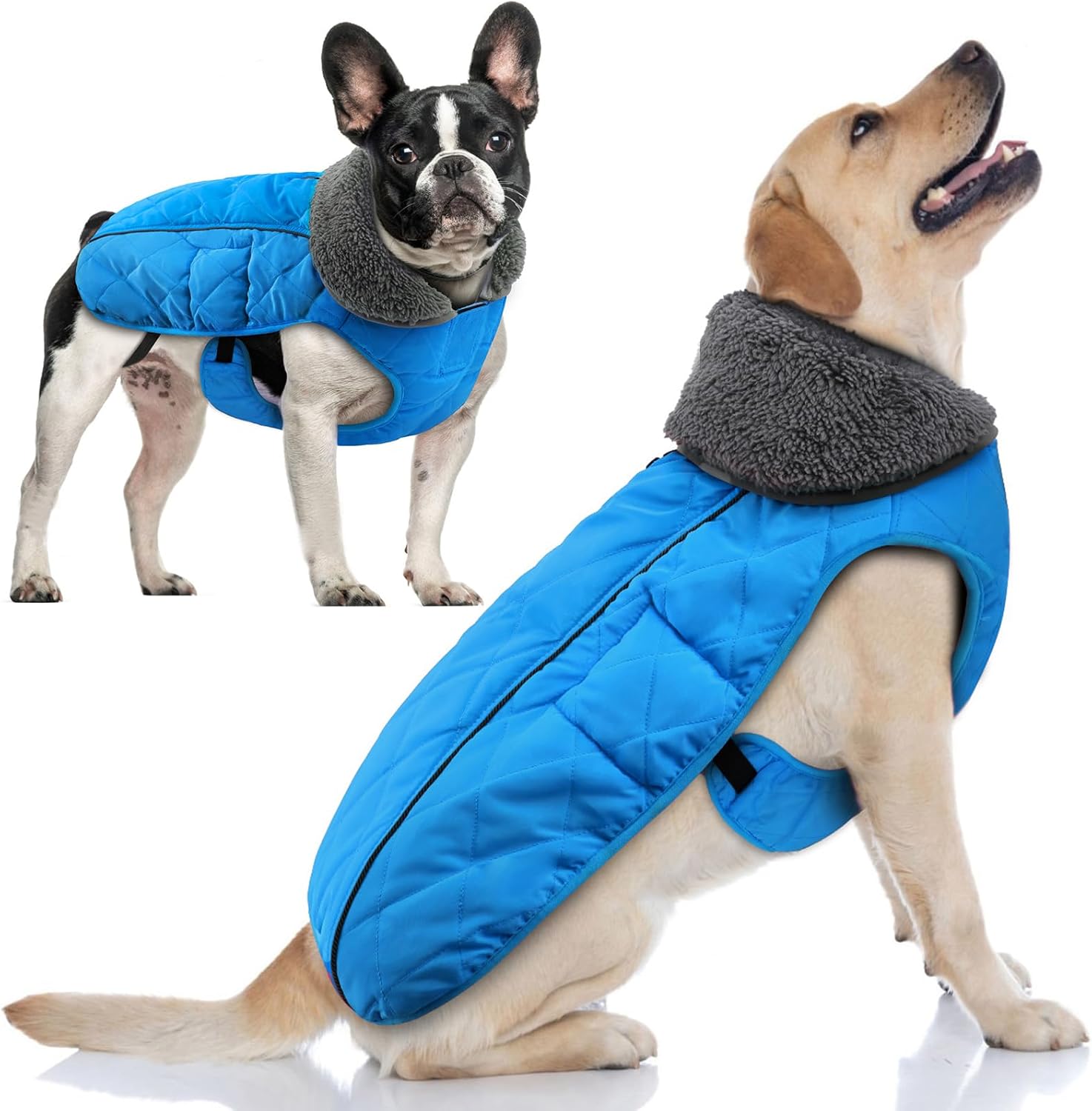 Doglay Dog Coat, Waterproof Dog Jacket Dog Winter Coat for