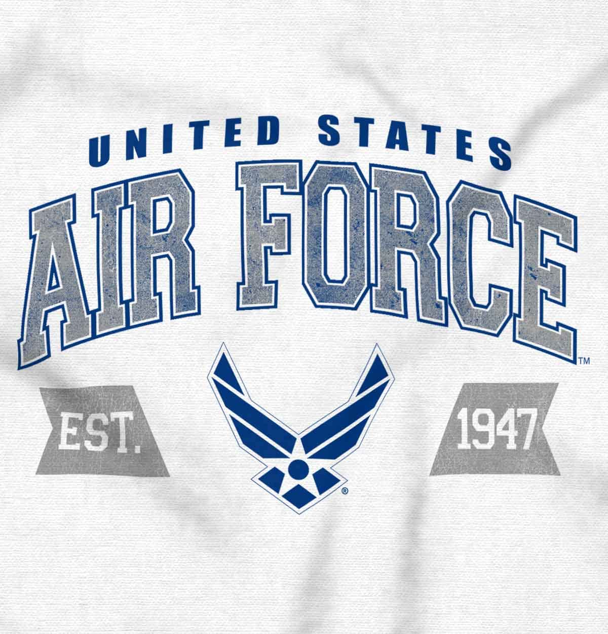 Brisco Brands US Air Force Wing Emblem Established Hoodie Sweatshirt Women Men White