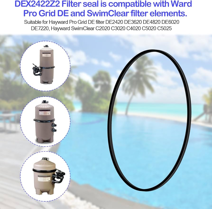 Amazon.com: HomeInn DEX2422Z2 Filter Seal O-Ring Gasket for