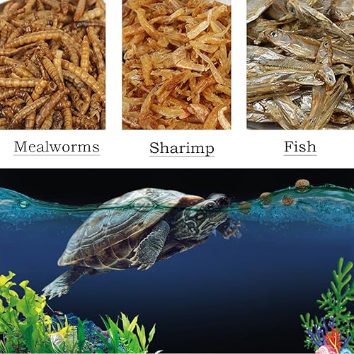 Miniatura 2 de 25.4 fl oz Tortuga Acuática Alimentos Alto Proteína Gusanos de harina Secados a Granel Congelar Camarón Pescado Golosinas para Reptiles Snacks