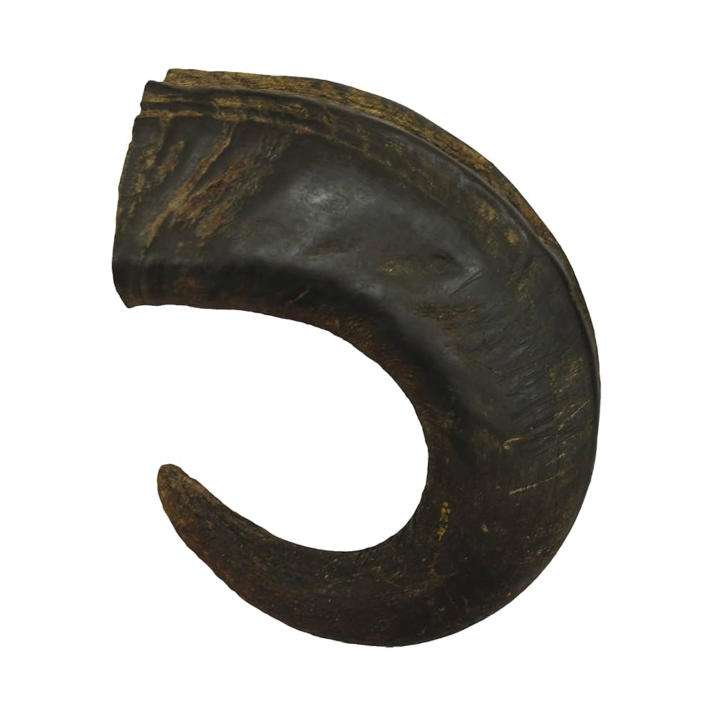 Corno Di Bufalo Per Cani Bubimex 8942 - Taglia L, 350 G | Snack Naturale Per Igiene Orale - Foto 12