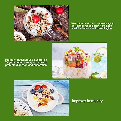 Miniatura 3 de Pequeña máquina para hacer yogur de 15 W, máquina compacta para hacer yogur con recipiente de acero inoxidable reutilizable, para yogur orgánico en