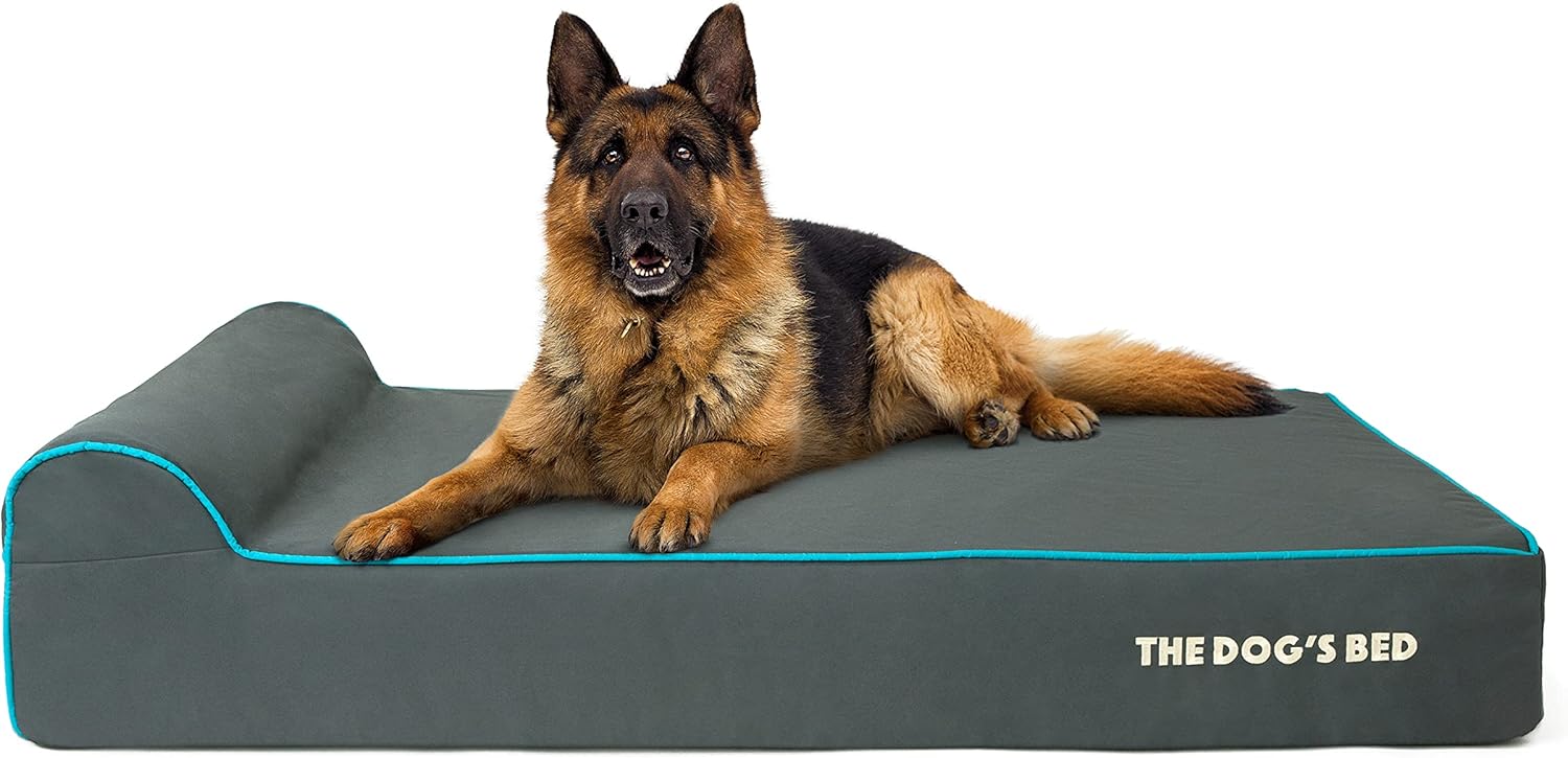 The Dog’s Bed Orthopaedic Dog Bed XL Grey with Blue Trim 117x71x15cm