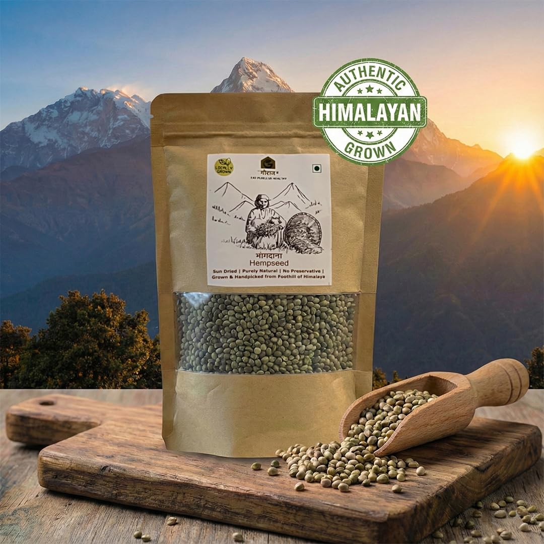 Gauraaj Hempseed (Bhangdana) – 200 Gm | Natural Superfood | High in Protein & Fiber | No Preservatives or Chemicals | Pahadi Hemp Seeds (Pack Of 2) - Image 5 thumbnail