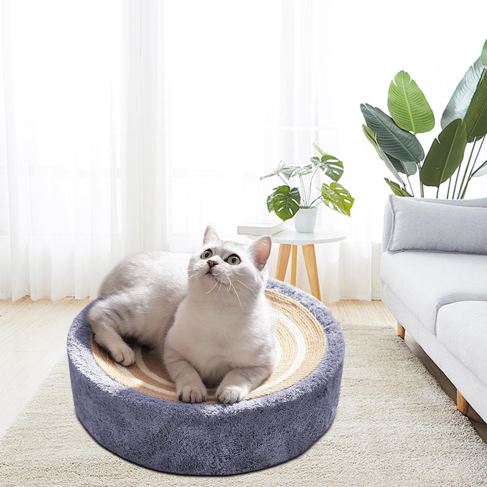 Rascador de pared de gato, cartón rascador para gatos, gatos, tabla para rascar la pared, sofá, alfombrilla para rascar gato, sisal, felpudo de sisal, alfombra para sofá, muebles, puerta,