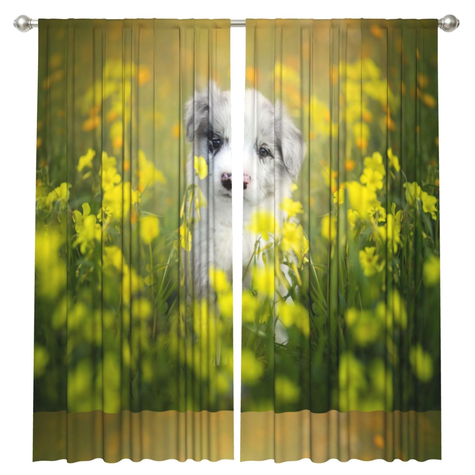 InOmak Australian Shepherd Dogs Mall White Puppy, 2 Panels Window Curtains 52 x 84 Inch Blackout Curtains for Living Room Bedroom