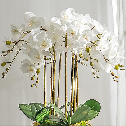 Planta de orquídea artificial, 35 pulgadas, 4 piezas de flores Phalaenopsis con hojas, tallos de orquídea de tacto real para decoración del hogar