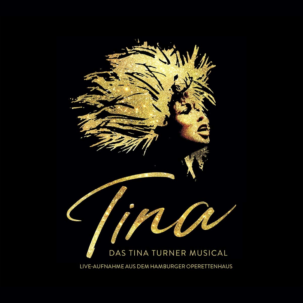 Tina:das Tina Turner Musical