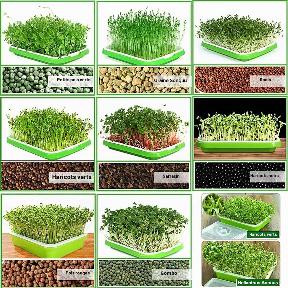 KAHEIGN 4 Pièces Plateaux de Germination de Graines avec Couvercle, 32CM x 26CM Plateau de Germination de Grande Capacité Propagateur Hydroponique Sain sans BPA avec 24 Papiers de Plantation