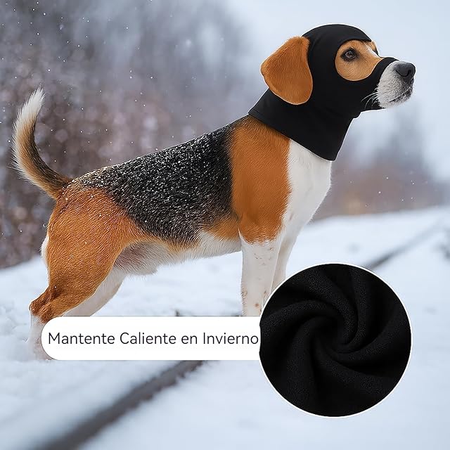 Foto 4 de 6 de Colenumone Sombrero para Perro: Haz Que tu Perro se vea Salvaje; Casco elástico y Resistente al Viento