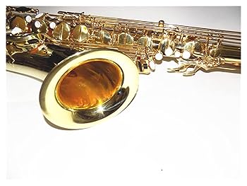 Amazon.co.jp: 学生アルトサックス 風の楽器のためのケースが