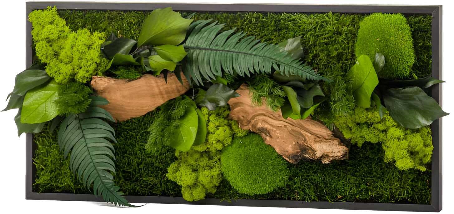 Quadro vegetale CANOPEE Rettangolo 27x57 cm