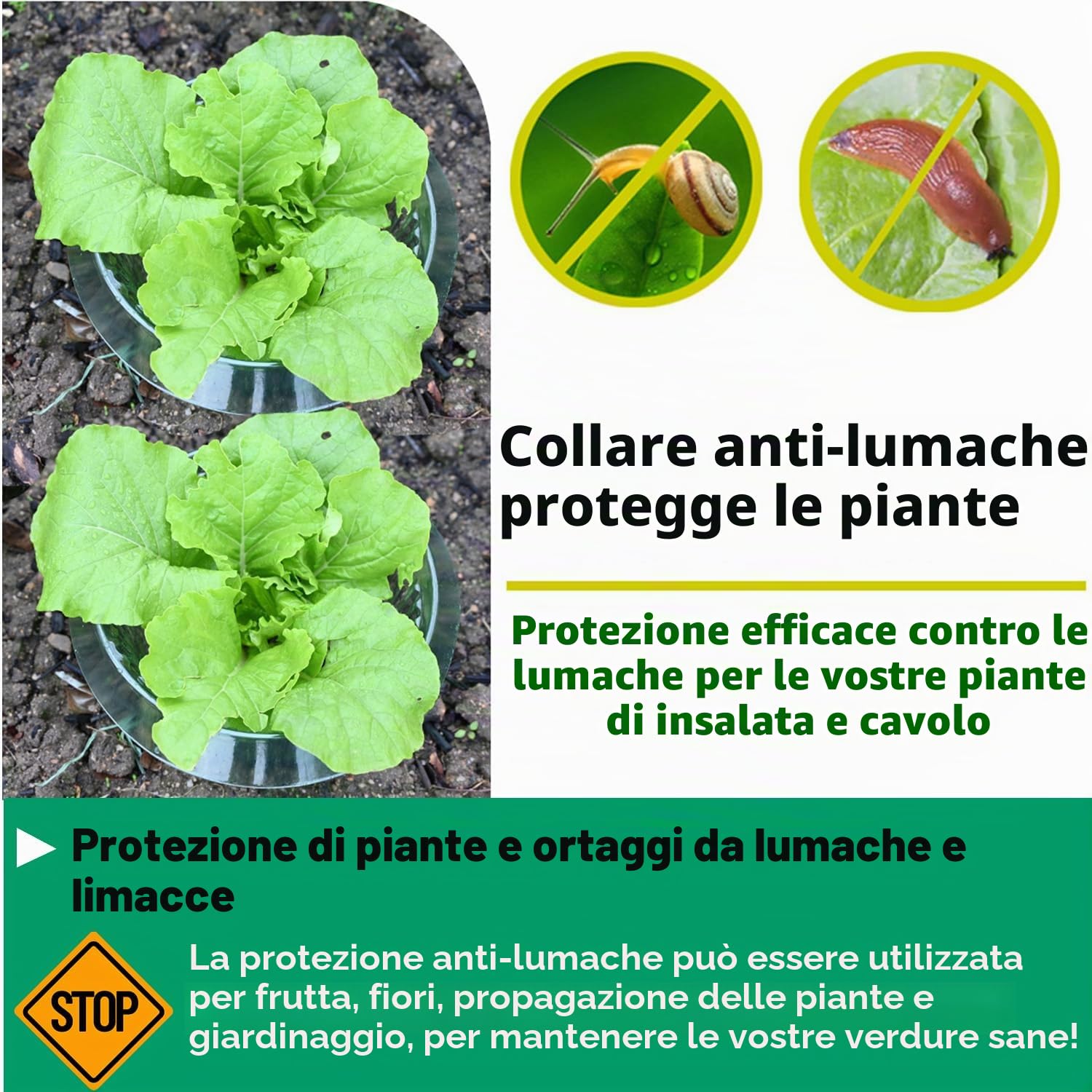 Collare per lumache, per Piante da Insalata e Carbone, Anti-lumache, Senza Prodotti chimici, Collo per lumache, Protegge Le Piante, per Essere più Belle(15 Pezzi)
