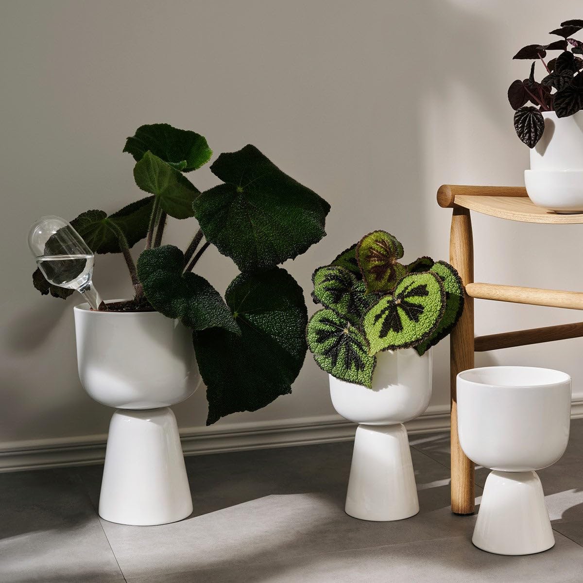 Amazon.com: Iittala Nappula Ceramic Plant Pot Large White 12.5