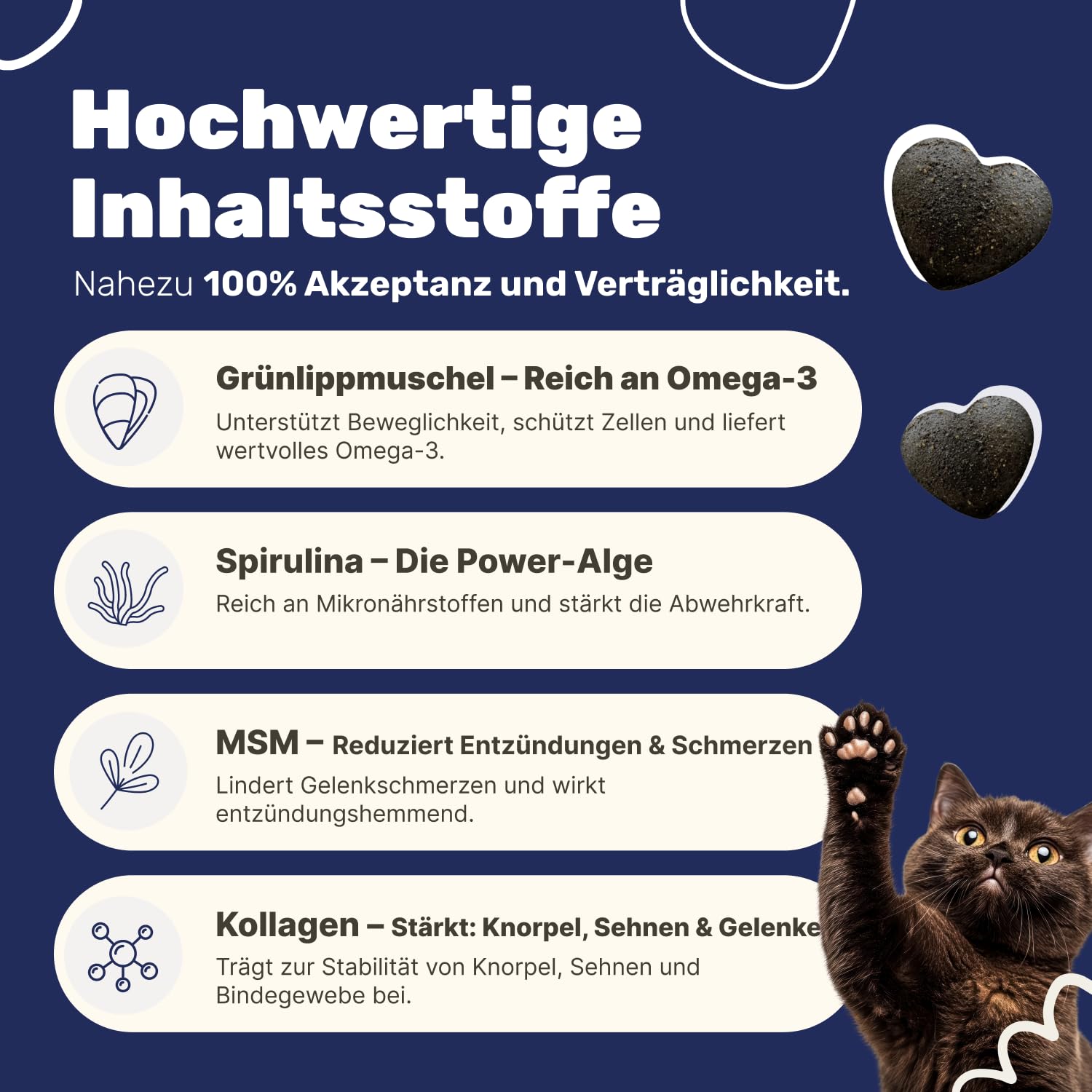 Gelenk-Snacks für Katzen | Stärkt Gelenke mit Grünlippmuschel, MSM, Spirulina, Kollagen | Ergänzungsfuttermittel mit Omega 3 für Katzen | Tierärztlich entwickelt | Leckerli Gelenke Katze | Patsli Move