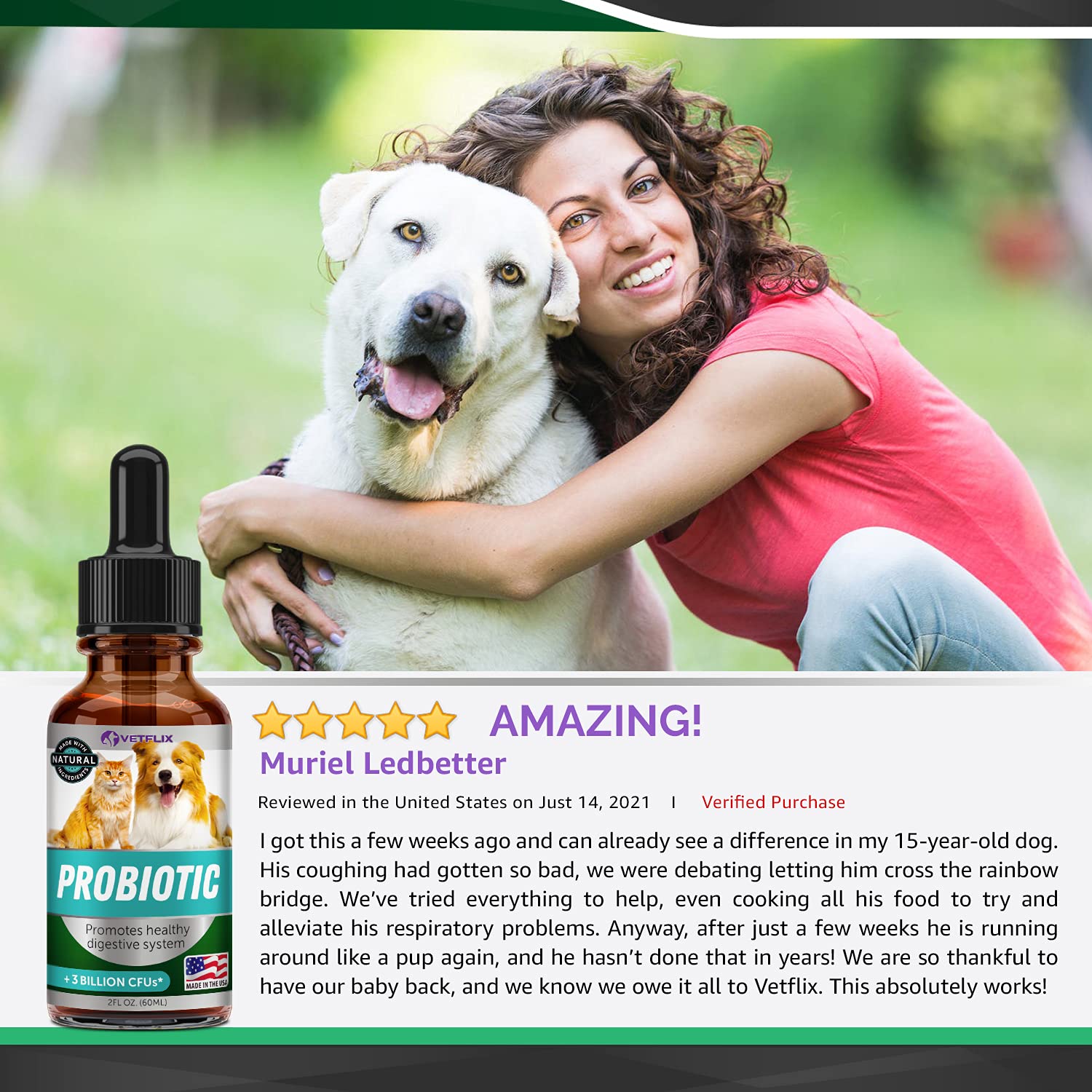 Buy Kennel Cough Treatment for Dogs & Cats Made in USA Dog Allergy