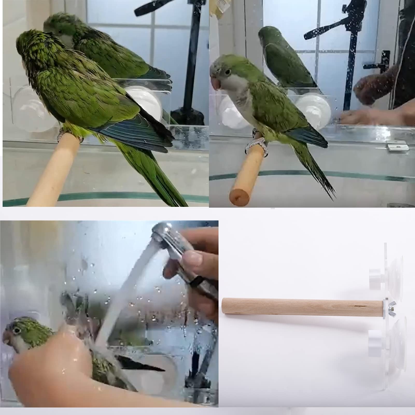 Bird Wood Shower Perch, Bird Stand Perch, Parrot Perch with Suction Cup for Home Outdoor Window Glass Birdcage Parakeet Cockatiel Stand - image 3